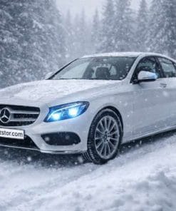 اتاق W205