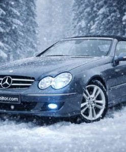 اتاق W209